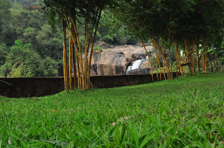 Aruvi Resort Munnar 
