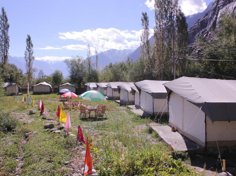Desert Oasis Camp 