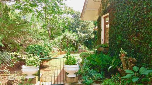 The Planter's Bungalow 