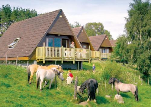 Delny Highland Lodges (دلنی هایلاند لودجس) 
