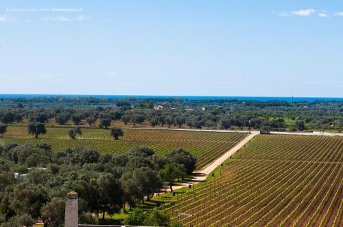 Masseria Le Fabriche 