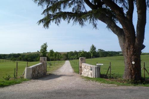ChÂteau De PlÈneselve 