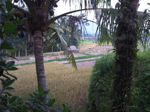 Pondok Damai 