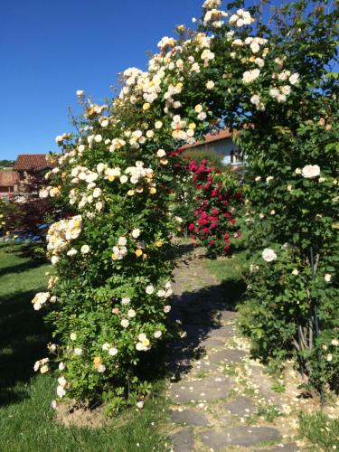 Residence Delle Rose 