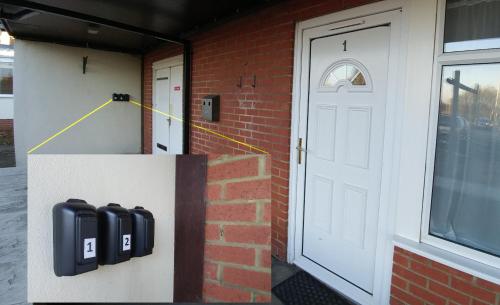 Swan Studios 