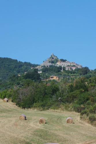 Az.agr. Il Cavalleggero 