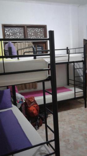 Beachbums Berawa Hostel 