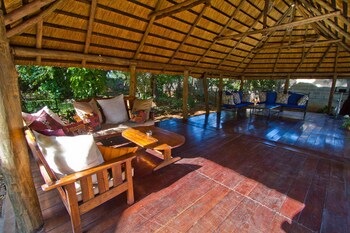 Mose Street Apartments Terrace/Patio