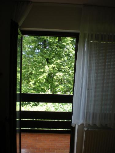 Apartments Bassanese 