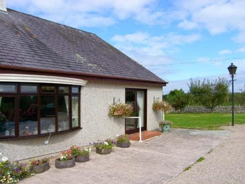 Llys Newydd 