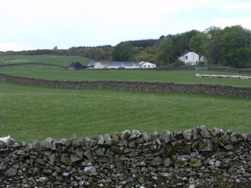 Boreland Farm 