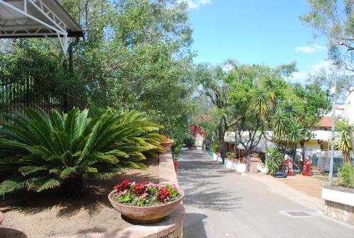 Camping Villaggio Saline 