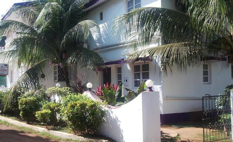 Macedo Palms Lemonmint General view
