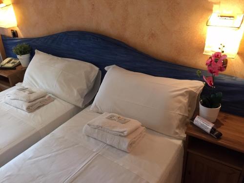 Hotel Orchidea 