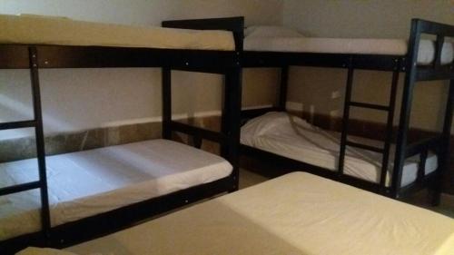 Cactus City Hostel Confort 