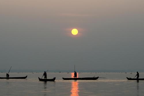 Purity At Lake Vembanad 