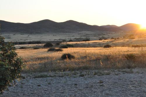 Cortijo El Campillo 