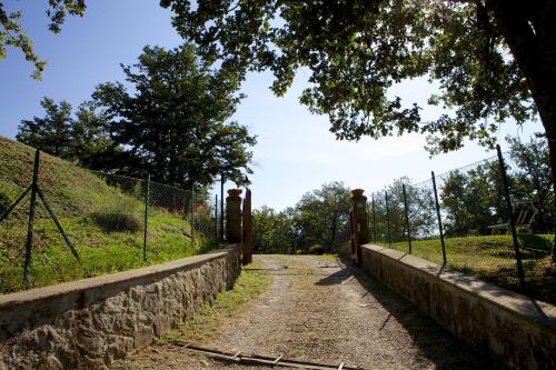 La Casa Di Peter 