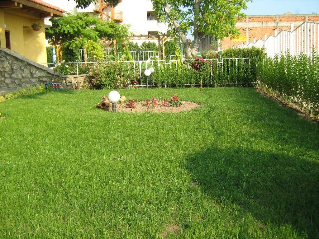 Vili Iskar 1 (ویلی ایسكار ۱) 