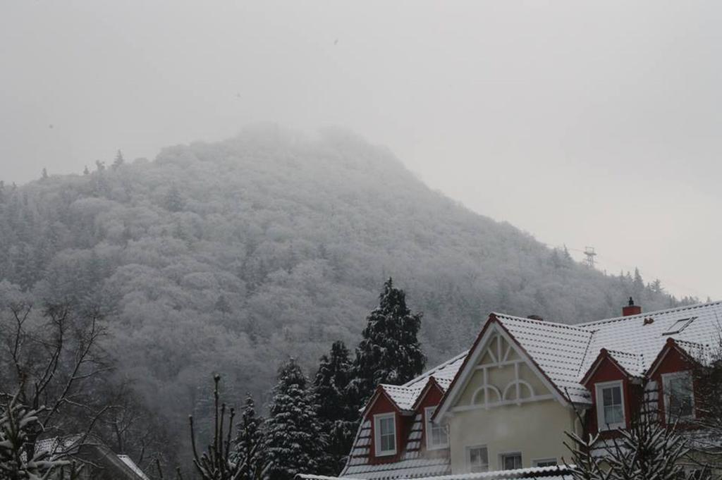 Haus Annenburg (هاوس آننبورگ) 