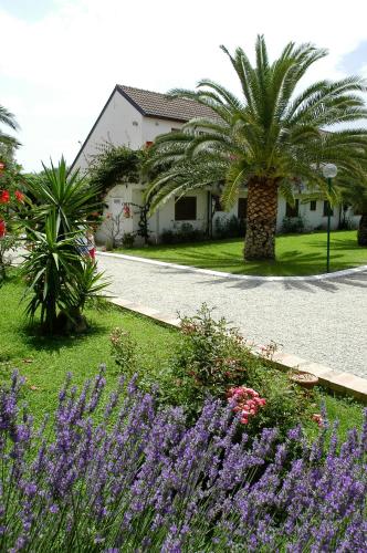 Nausicaa Village 