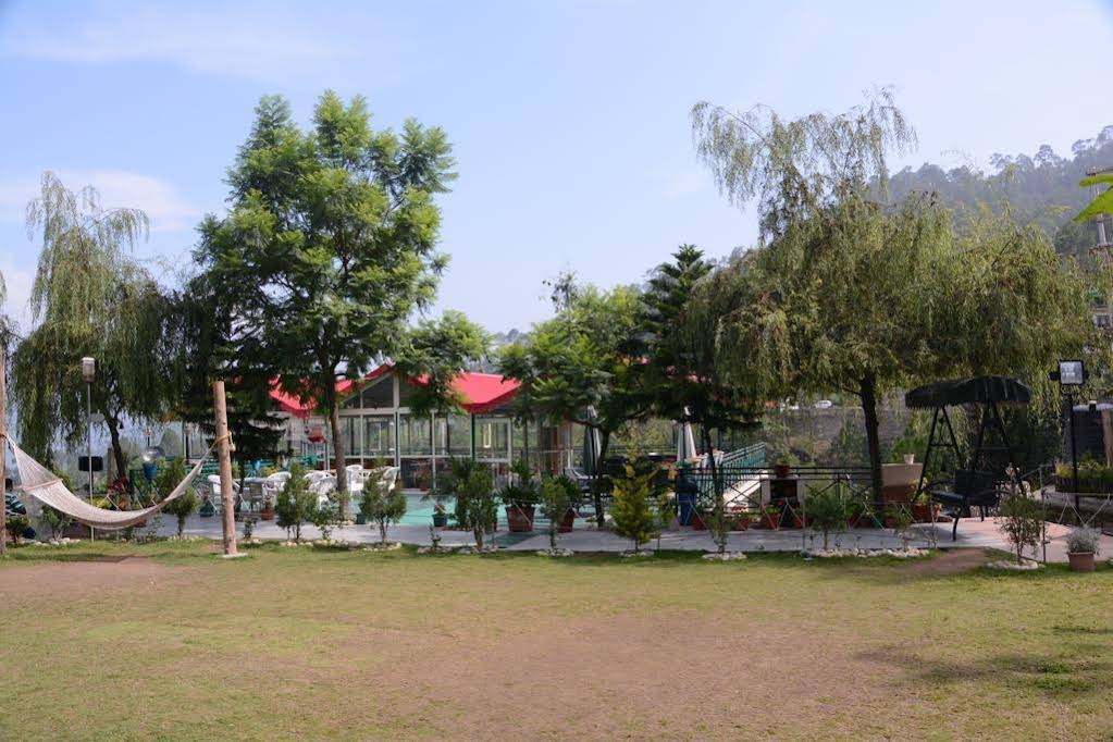 Maple Resort 