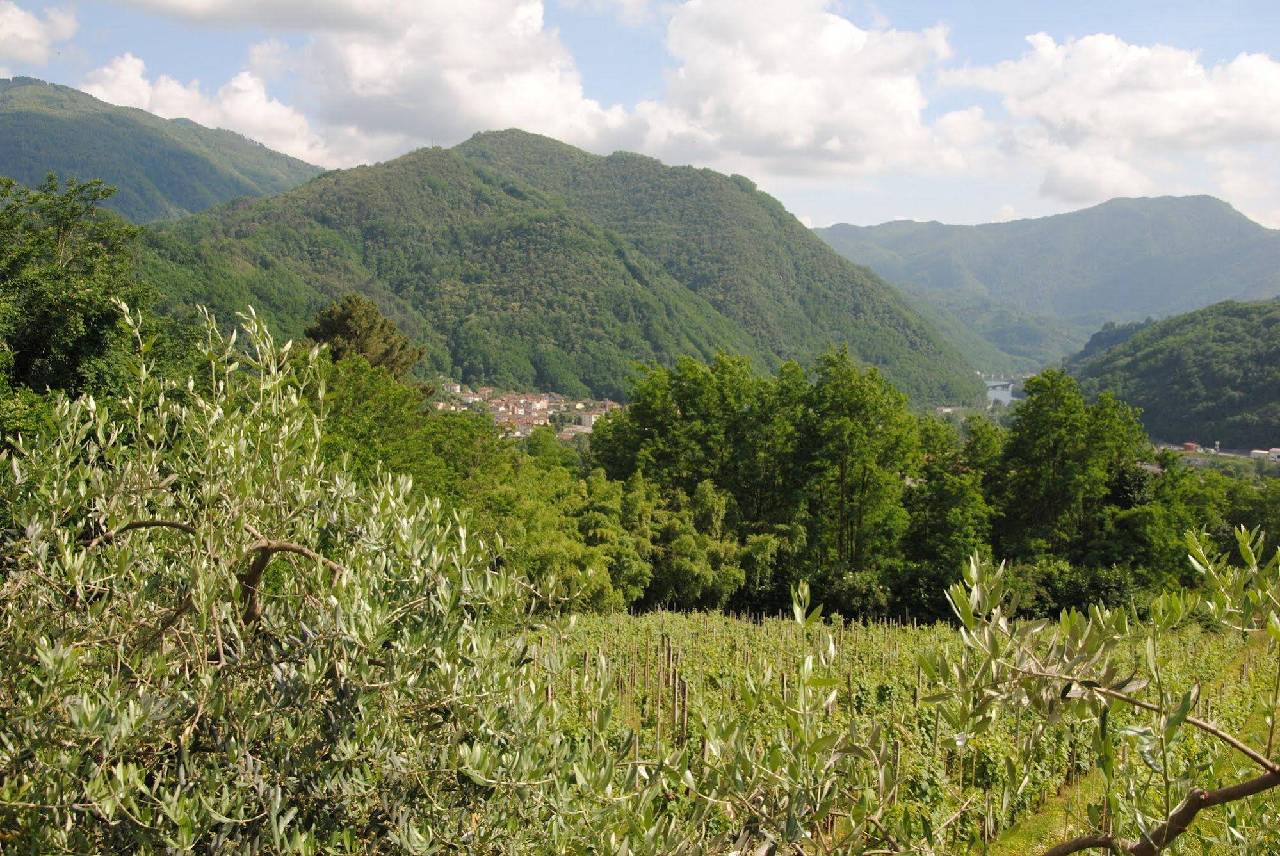 Tenuta La Fratta Apartments 