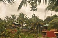 Wild Grass Resort Andaman 