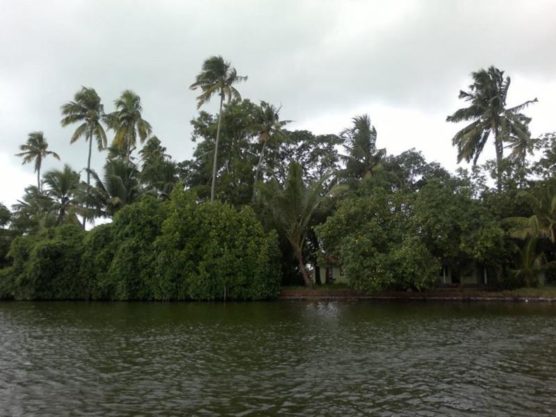The Island Retreat Resort 