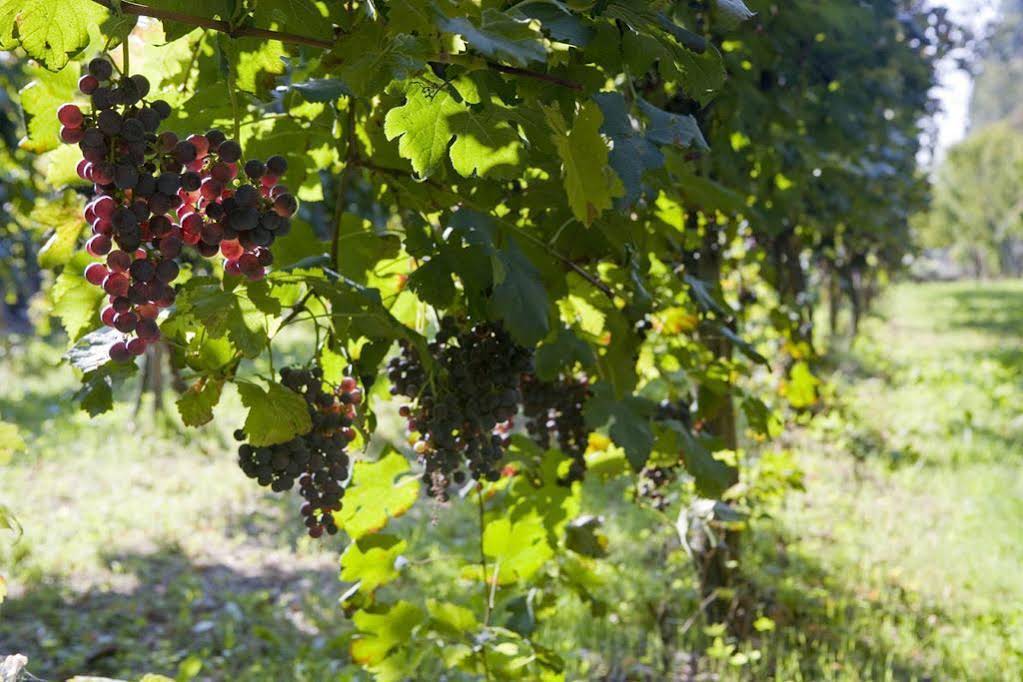 Agriturismo Villa Mocenigo 