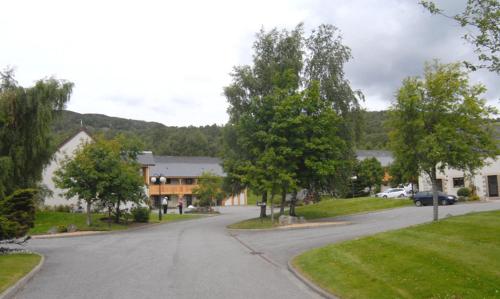 Scandinavian Village Ltd (اسكاندیناویان ویلاج لتد) 