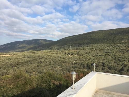 Olives Garden Apartments 