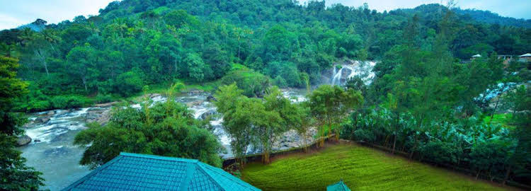 Aruvi Resort Munnar 