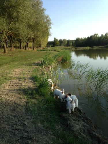 Agriturismo La Bisa 