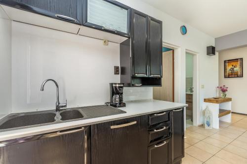 Apartment Brzac 