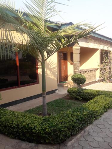 Uni Apartments 