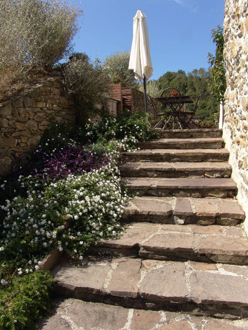 Agriturismo Villanova 