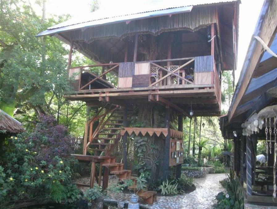 The Lotus Garden Suites 
