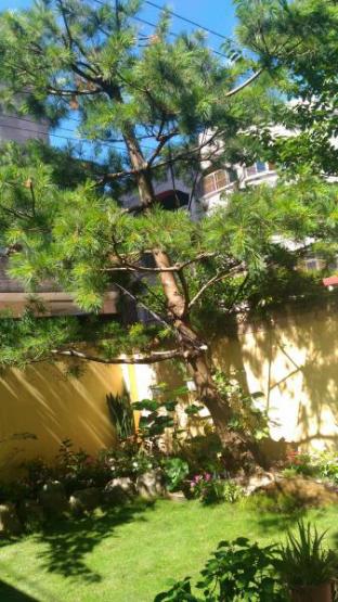 Sunlight House 