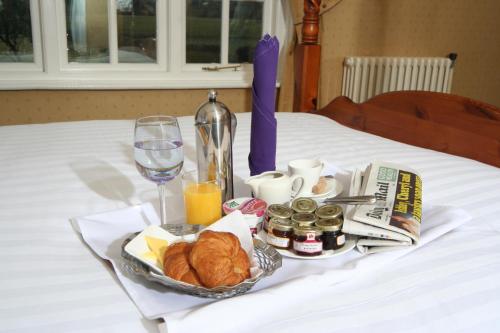 Maesmawr Hall Hotel 
