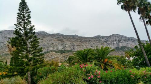 Apartamentos Montgò 