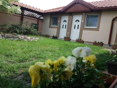 Guest House Farkas Home Invest 