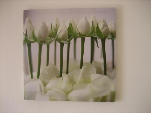 Ferienwohnungen Preiss 