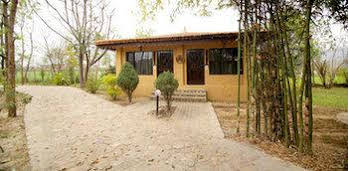 Ashoka's Tiger Trail Resort Guestroom 