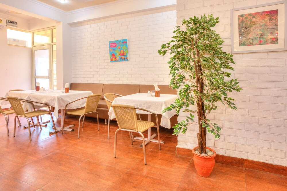 Treebo The Lily Restaurant