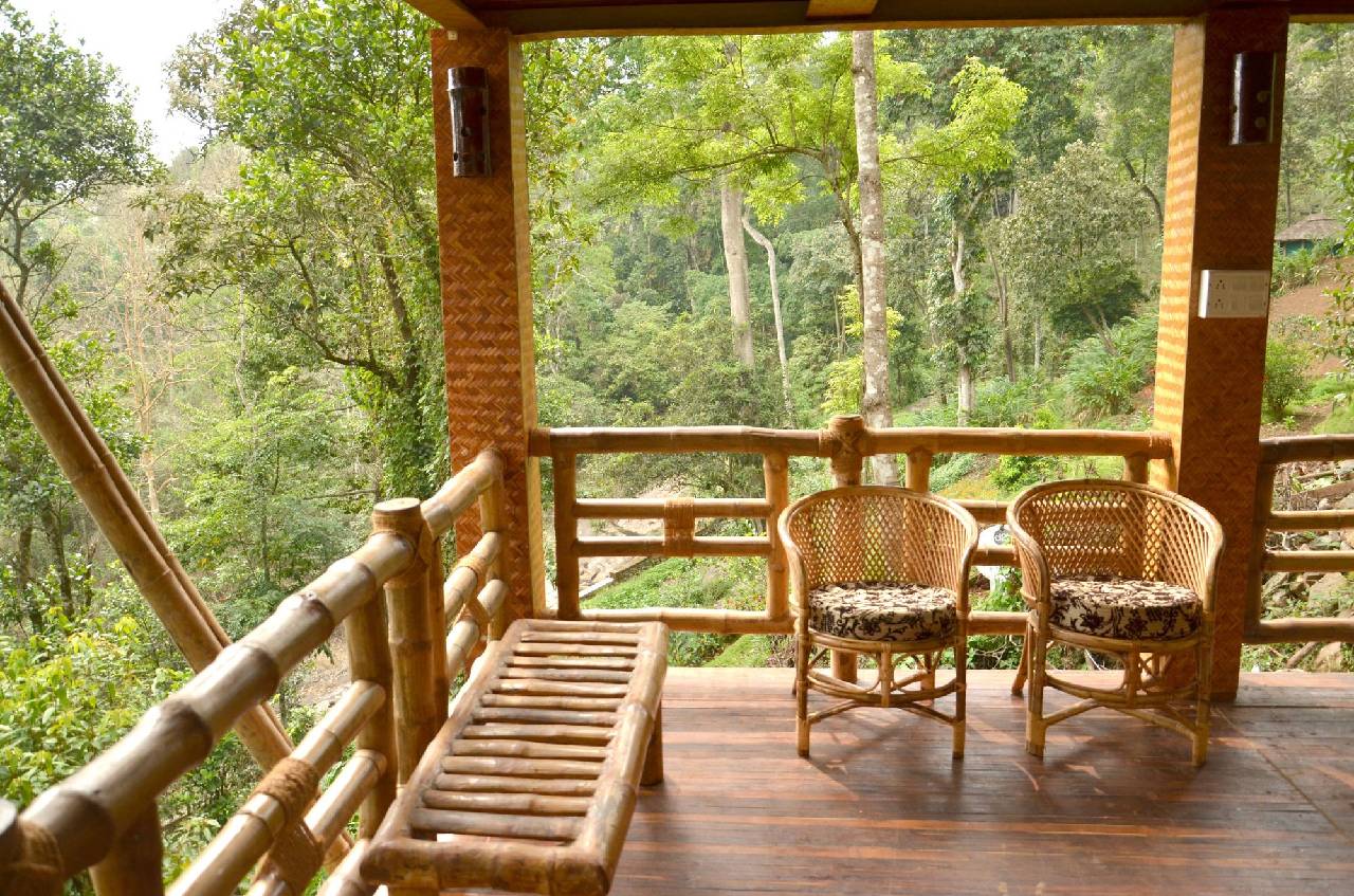 Bamboo Dale 
