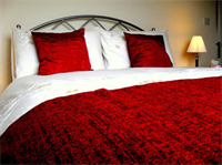 Deneview Bed And Breakfast 