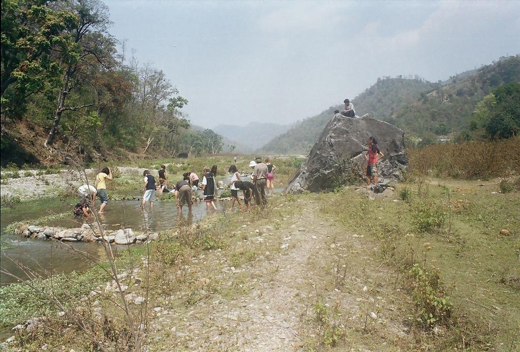 Wild Brook 