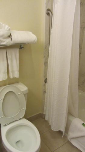 Holiday Inn Express Hotel & Suites Houston North Intercontinental 