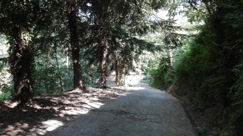 La Vecchia Mola 